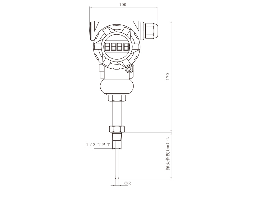 WZ/PQ铂热电阻温度变送器结构图纸